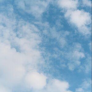 ✨✨Meet the Seller✨✨